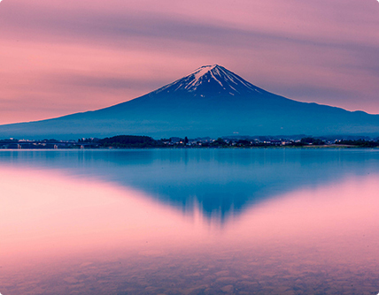 株式會社ヒマワリ國際コンサルティング