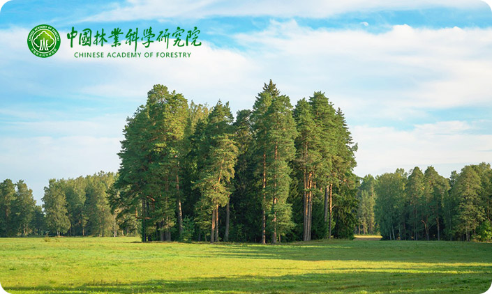 中國(guó)林業(yè)科學(xué)研究院