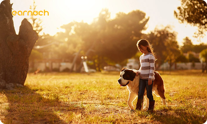 無(wú)錫恩諾生物